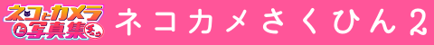 ネコカメ作品2