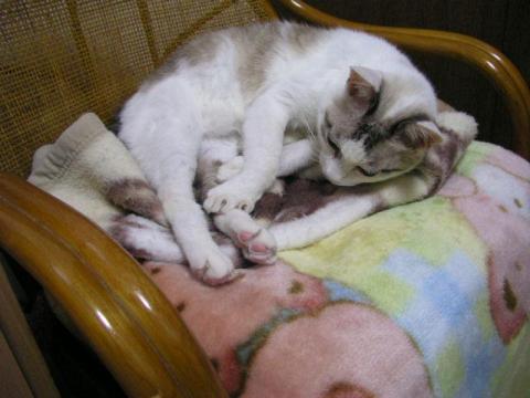 足が痒いんじゃよー