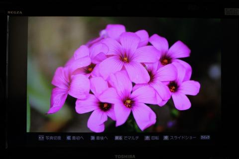 プロフィール画像を映してみました