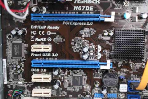 青いのと白いのがそうですネ