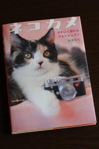 かわいい写真集です