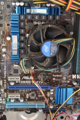 ホ、ホコリが......