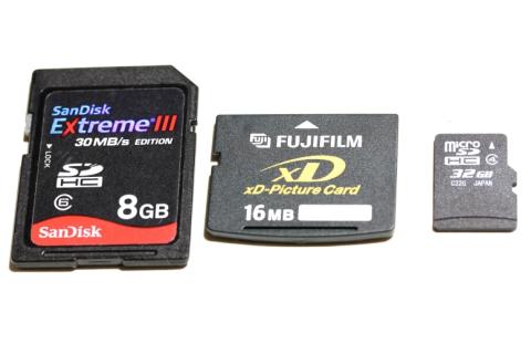 大きさを比較しました