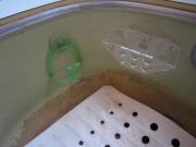 他の製品との比較