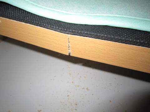 半年でめきょっ