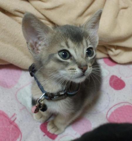 スクリーンショット 2011-09-30 18.12.37.jpg