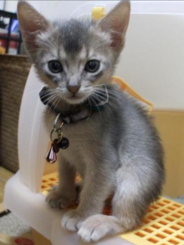 スクリーンショット 2011-09-30 18.13.04.jpg