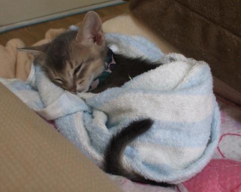 スクリーンショット 2011-09-30 18.13.35.jpg