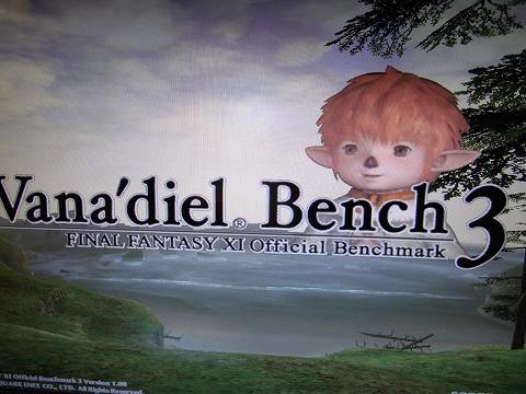 さて、どうでしょう