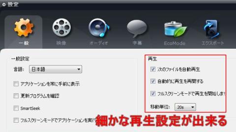 細かな再生設定