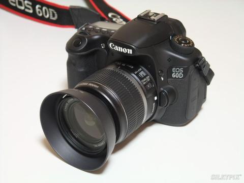 レンズフード使用例