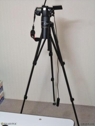 シグマ 70-300mm F4-5.6 APO MACRO撮影風景.jpg