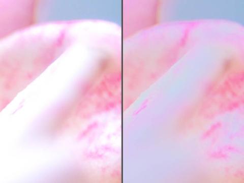 ハイライトコントローラー 花 ビフォーアフター.jpg