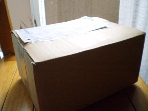 割と大きなダンボール箱