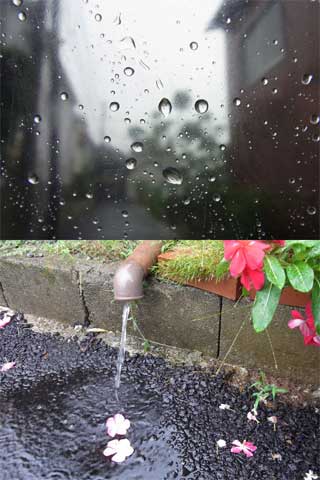 ♪そんなの どーだっていーから 台風のせいーにして 雨どいなおそおおお(黙れ
