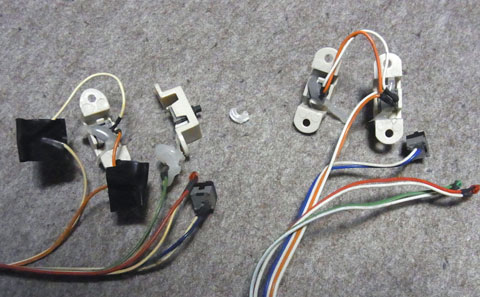 左ウチの 右いただきもの