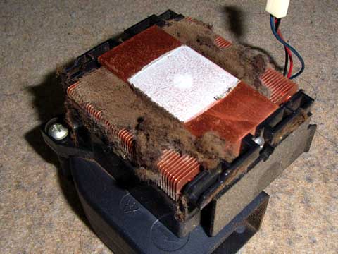 もっさあああああ