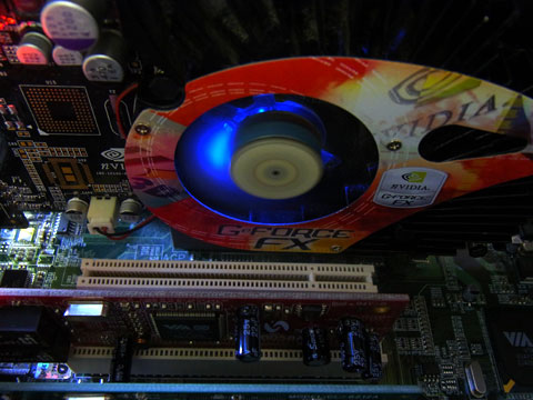 こいつ…光るぞ?