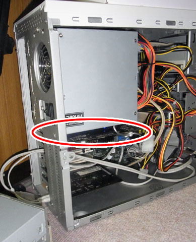 赤丸のあたりに居る