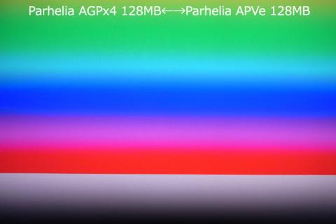 真ん中に境目があるらしい