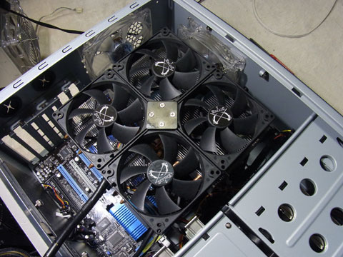 ご覧の有様だよ!