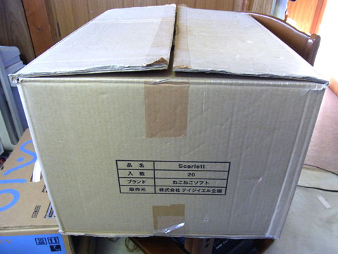 大きめダンボール