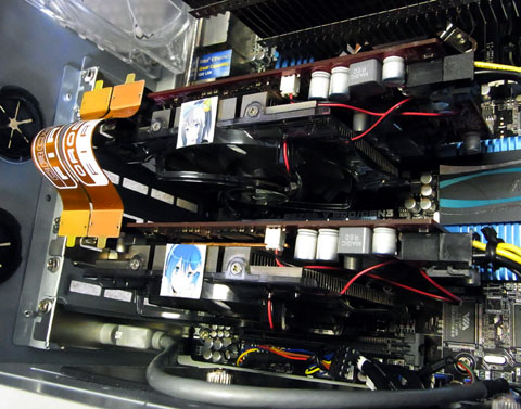 窓辺シールはがせよ!