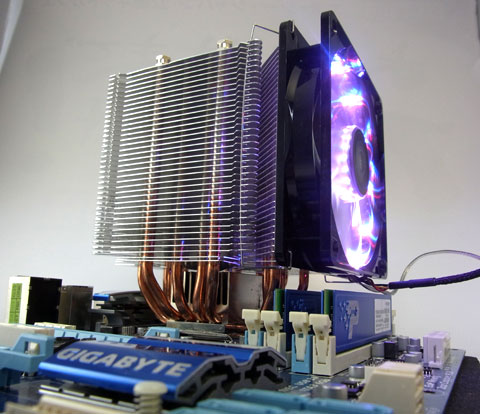 全く忍ばない存在感