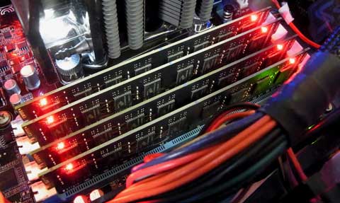 恐ろしい存在感