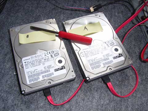 ルンルンすぎて写真はない