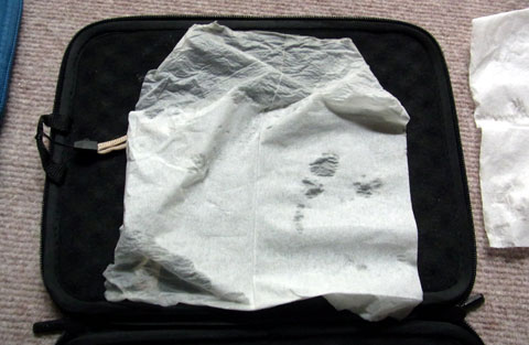 真ん中辺の染みは撮影時に誤ってつけたもの。