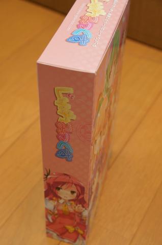 横から見るとさらにそれっぽい