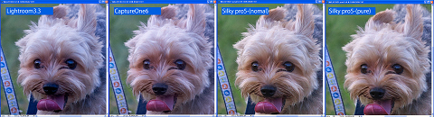 等倍で他ソフトと比較