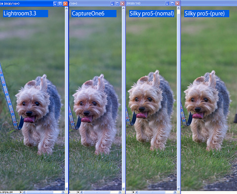 全体のイメージ(25%)