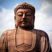 標準レンズ、後ろにめいいっぱい下がっても入りきりません