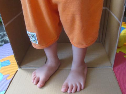 母ちゃんそれ使いたいのよ