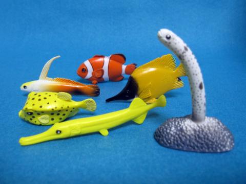 おさかなちゃん アナゴが可愛い