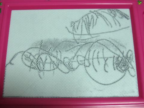 作品名「さかな」