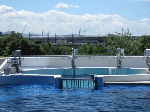 このスタジアムは新幹線もよく通ります