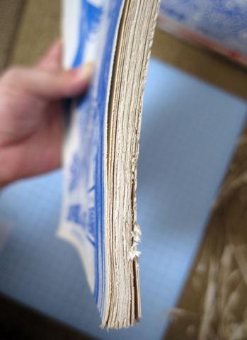 あらら、ちょっとモジャモジャ…