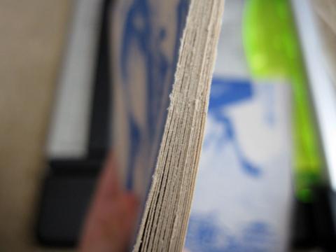 毛羽立ってますね…。