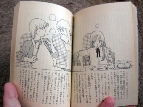 イラストの入り具合が特殊な感じです。紙も黄ばんできたなあ…。