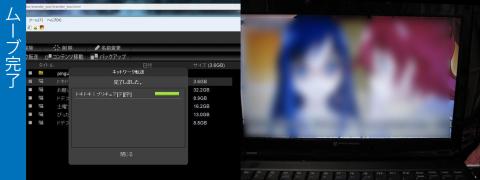 今度は成功、ちゃんと見れました!