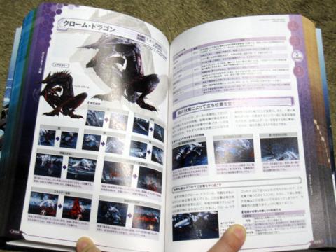 クロームドラゴン攻略