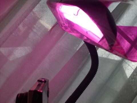 ム~ディ~な光…w