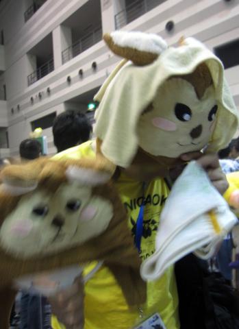 チームマスターがかぶってくれました