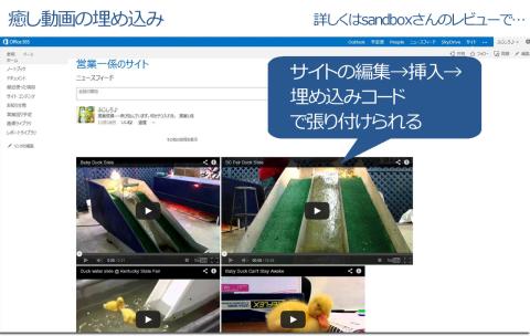 全然こっそりじゃありません、、、