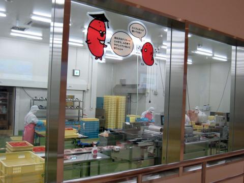 ミュージアムの奥がそのまま工場…