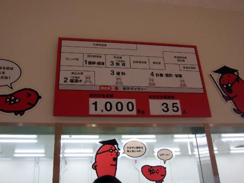 今日は35人体制