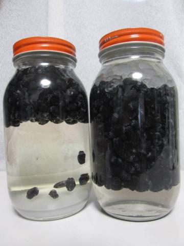 中サイズ 2本漬け込み開始